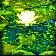 Load image into Gallery viewer, Midnight Lily Pad
