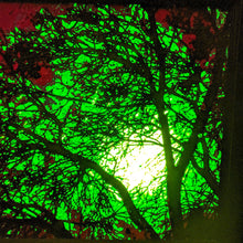 Load image into Gallery viewer, Moon Through Trees (Green)
