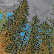 Load image into Gallery viewer, Larch Over Hill
